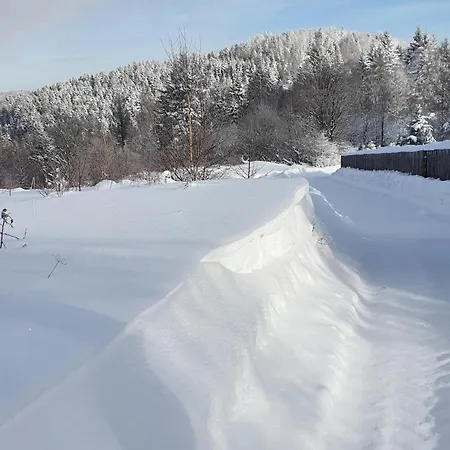 Maciejowka - Mountain Cottage, Forests, Tatil Evi Lysina
