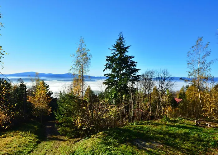 Maciejowka - Mountain Cottage, Forests, Holiday home Lysina