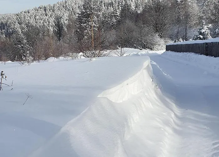 Maciejowka - Mountain Cottage, Forests, Holiday home Lysina